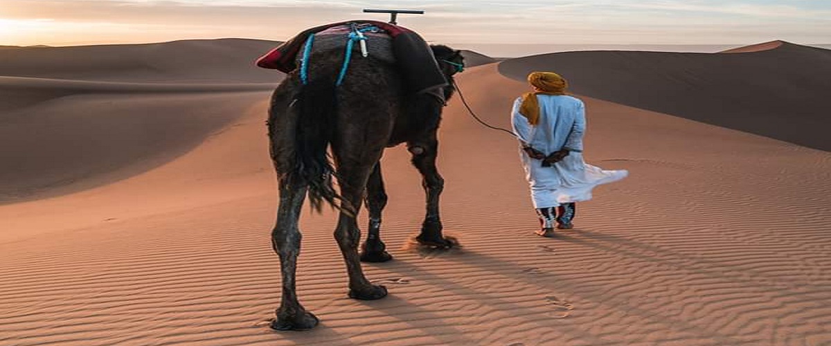 Morocco Tours