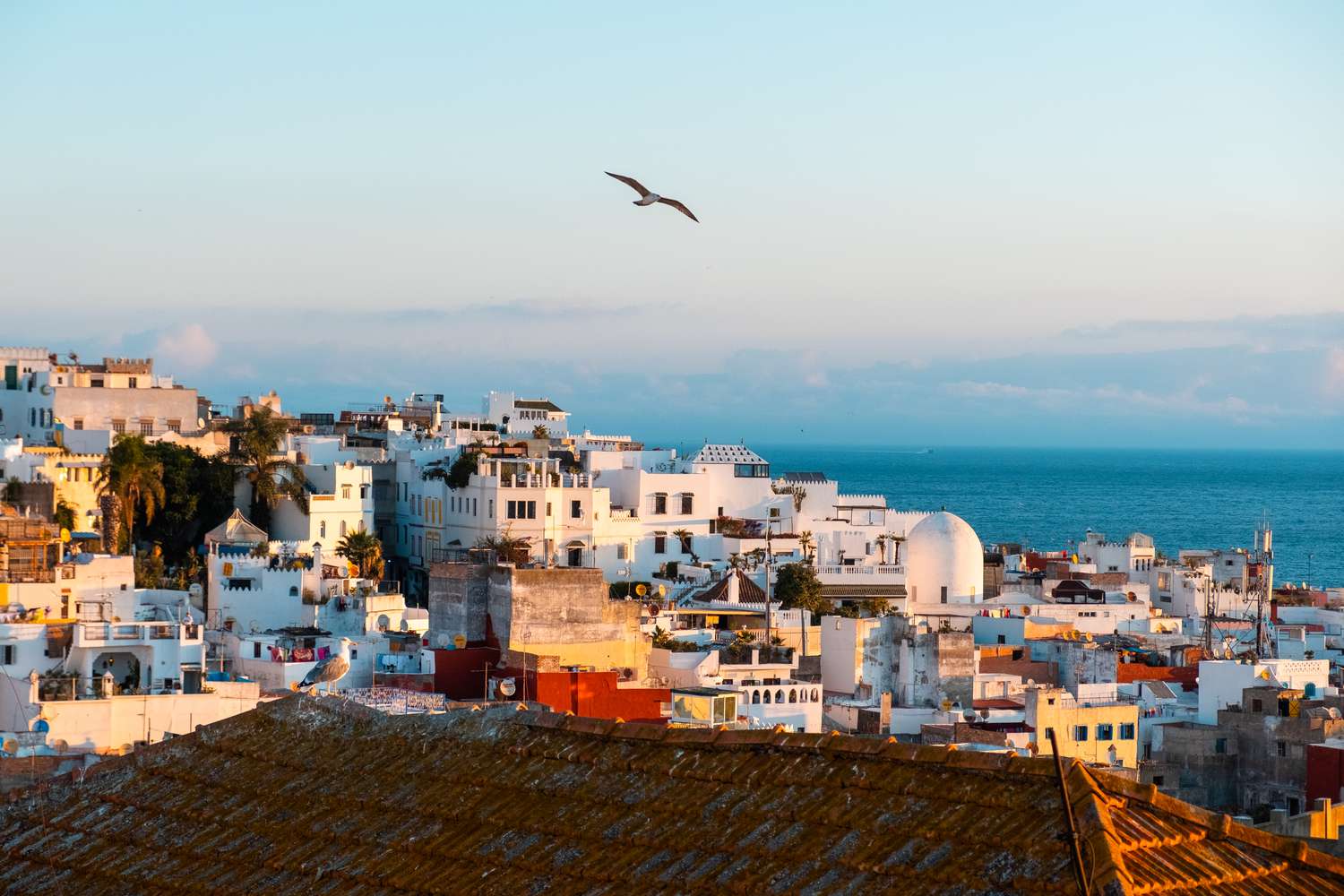 Tangier to Chefchaouen day trip