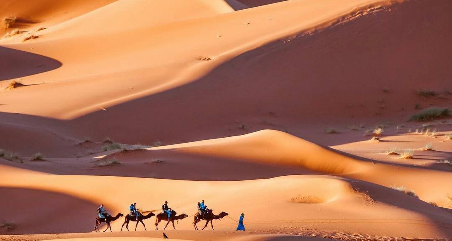 best 5 things to do in Morocco's sahara desert